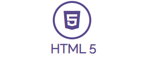 HTML5